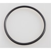 O-Ring 04L145117