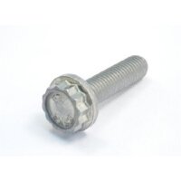 Zwölfkantbundschraube